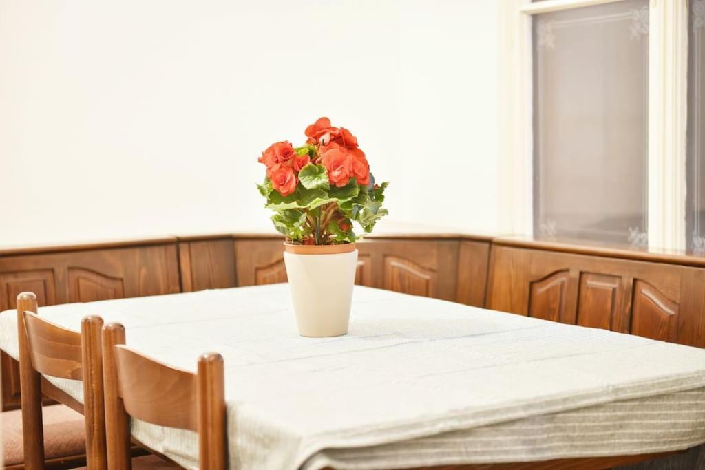 Charming Spacious Apartment Wien Ngoại thất bức ảnh