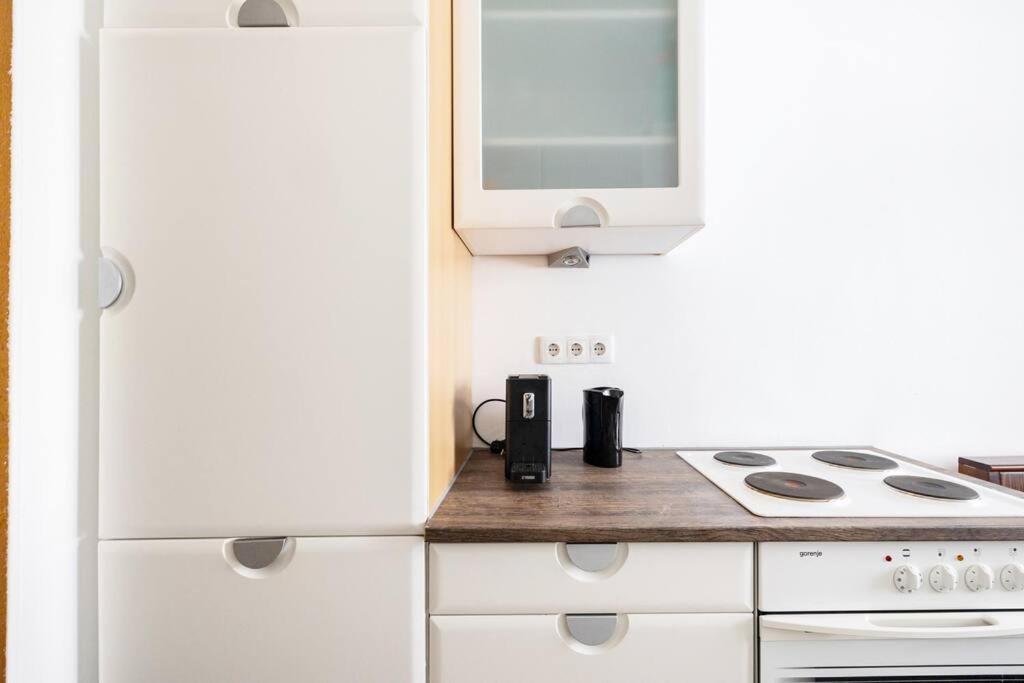 Charming Spacious Apartment Wien Ngoại thất bức ảnh